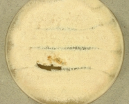 PDA · 34d · 30C